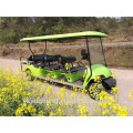 Factory direct sale gas power 6-10 seats golf cart